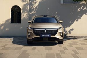 20万真满血华为纯电SUV！全新岚图知音正式上市