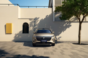 20万级满配家庭纯电SUV，岚图知音为爱配齐