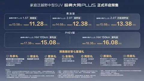 哈弗大狗PLUS正式开启预售，Hi4技术耀目成都车展