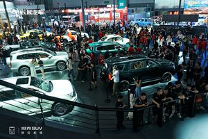 张雨绮亮相坦克展台 全新坦克500Hi4-T/Z智享版闪耀成都车展