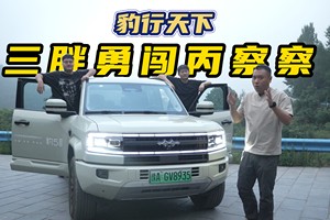 豹行天下，三胖勇闯丙察察