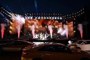 星越 L 沧州武侠音乐会圈粉无数，文化与实力双驱引爆市场热度
