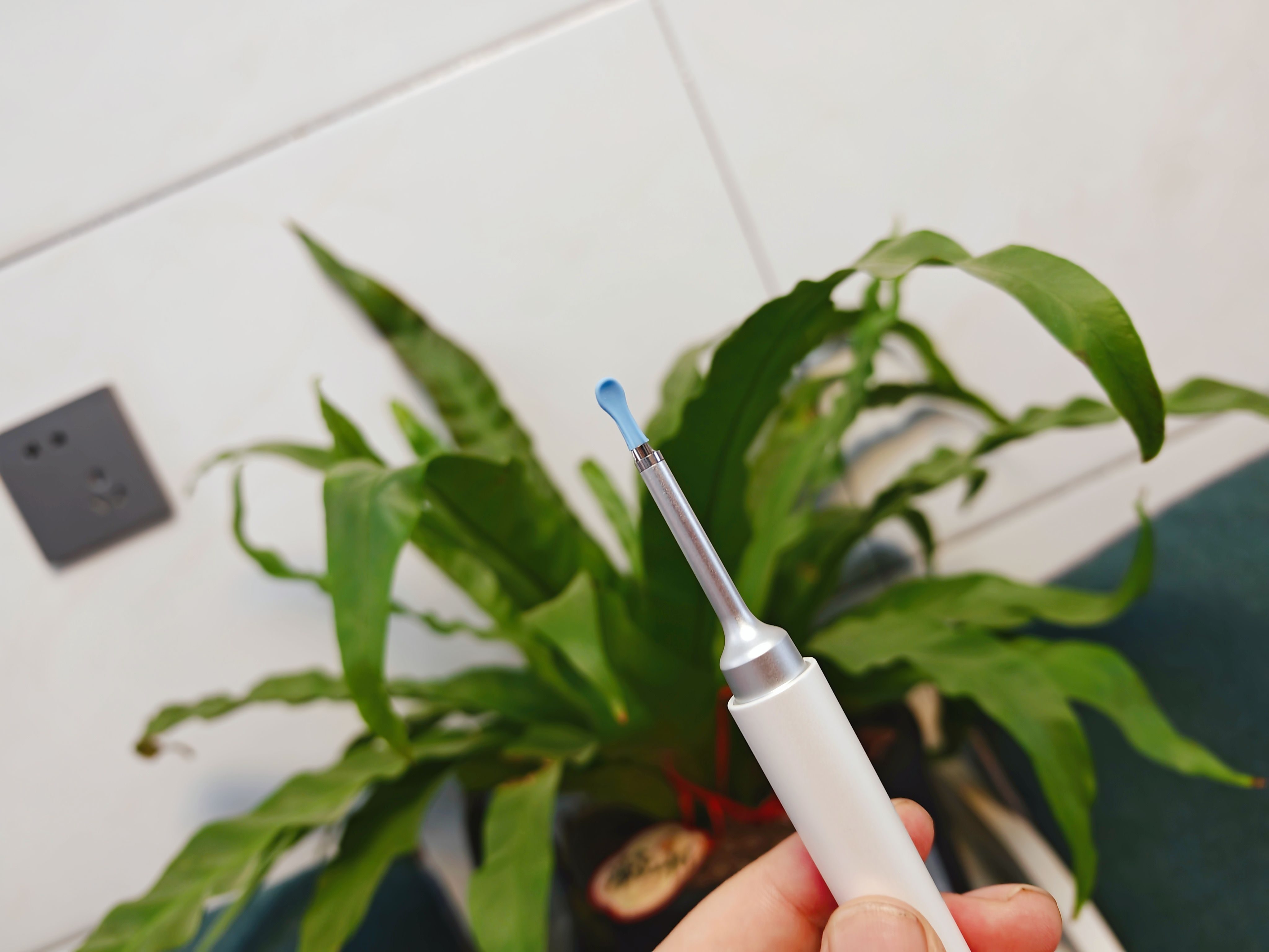 挖耳的科技感，安全还可视化，西圣Find X可视挖耳勺使用体验来了