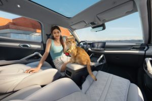 元UP 301KM领航型：年轻人第一台SUV，7.48万元入门即高配