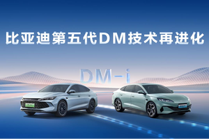 除了比亚迪，还有谁？！