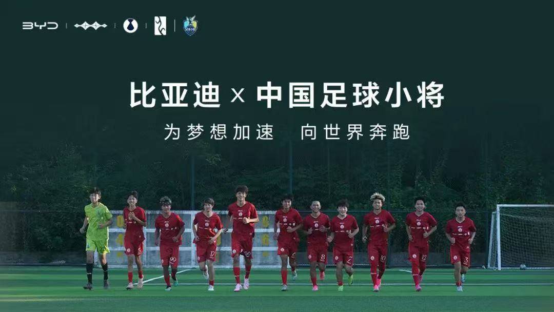 比亚迪：当善意被误读，实干者如何自证？