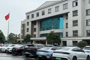 国产新能源“绿”动机关大院 比亚迪成体制人严选车型