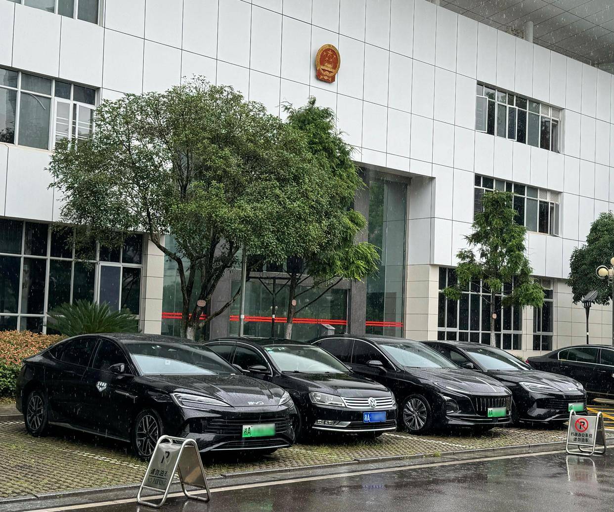 国产新能源“绿”动机关大院 比亚迪成体制人严选车型