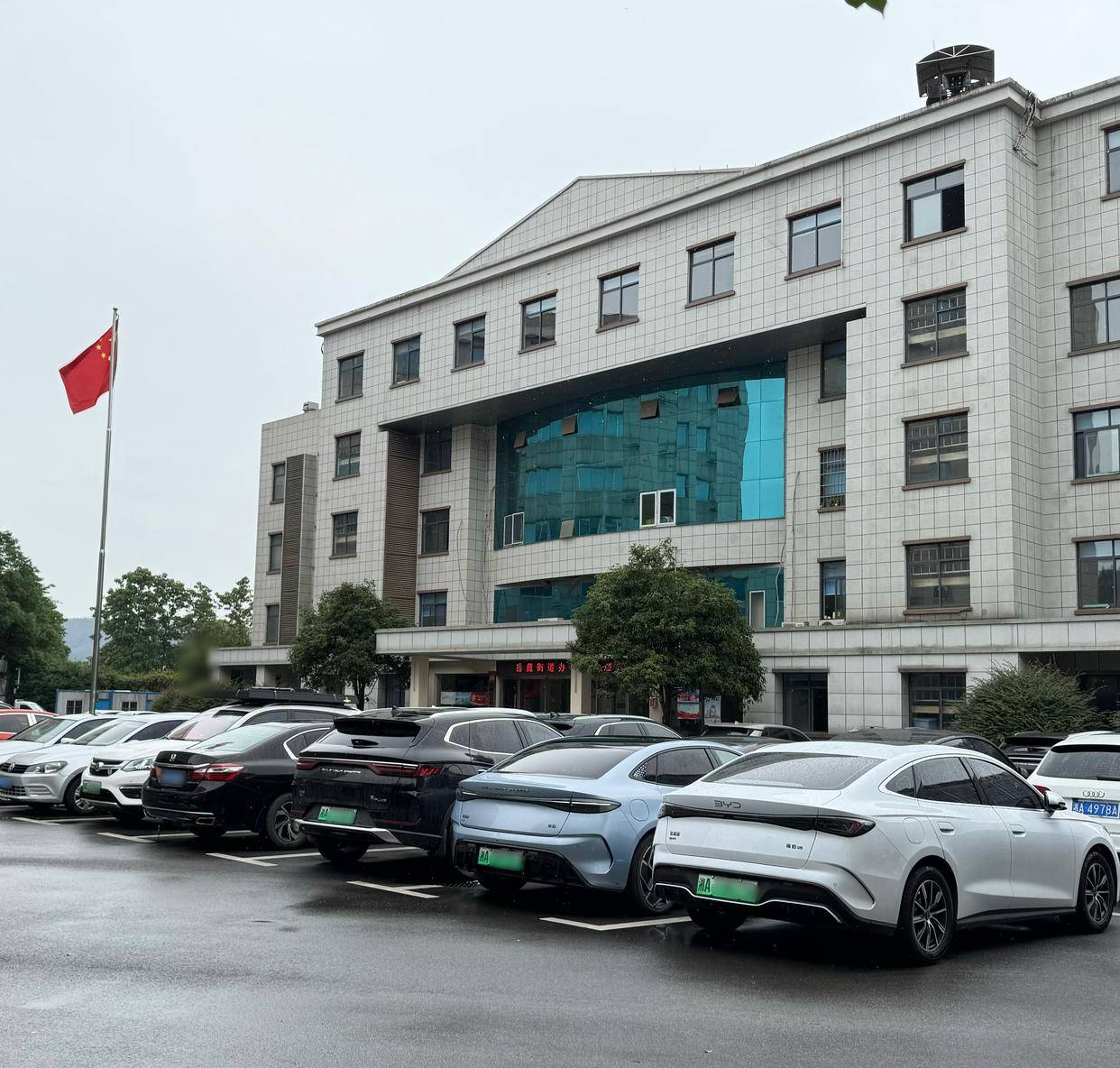 国产新能源“绿”动机关大院 比亚迪成体制人严选车型