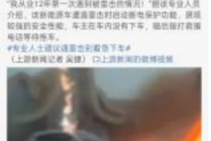 被雷击的比亚迪宋PLUS EV车况首次曝光