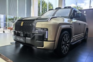 仰望U8L鼎世版到店实拍（沈阳） 国产豪车重塑行政SUV新标杆