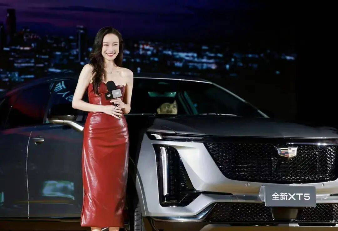 比亚迪营收超特斯拉，但中国车企利润总和或将不及丰田一半？