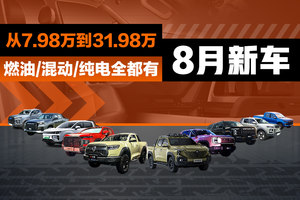 一文看完8月新车！从7.98万到31.98万，燃油/混动/纯电全都有