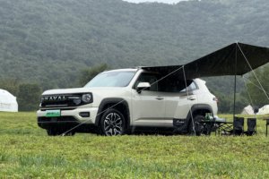 为家而野，全能守护——哈弗大狗PLUS