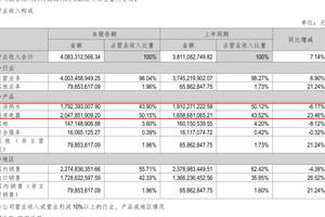 万和电气上半年业务结构生变：厨电扛大旗，生活热水承压前行
