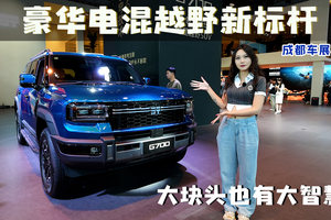 豪华电混越野新标杆 成都车展静态体验纵横G700