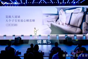 五菱缤果S正式开启预售，售价6.88万元起打造多彩出行生活