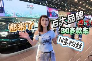 车展| 6大品牌+30多款车 更有N多粉丝 长城把客户派对开这儿了