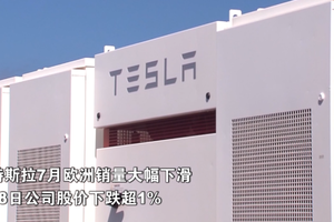 中国新能源汽车加速出海，比亚迪欧洲市场份额超越特斯拉