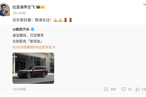 腾势N9紫瑢金双色车身：豪华设计与安全科技的完美融