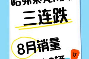 哈弗枭龙MAX三连跌，8月销量仅3153辆，实在看不懂